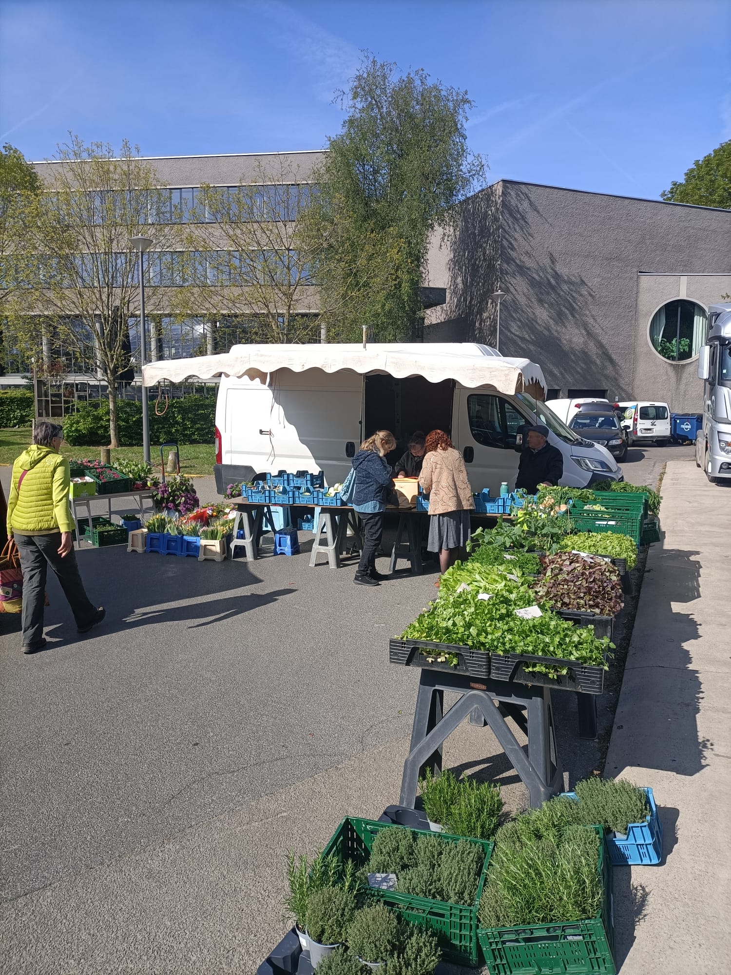 Marktkramer Foto